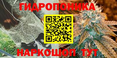 прущие крисы Севастополь