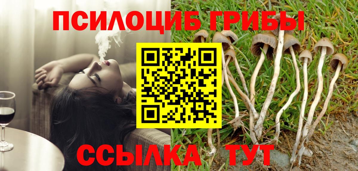 Псилоцибиновые грибы Psilocybe  Вход с VPN  Северобайкальск  Псилоцибиновые грибы прущие грибы 